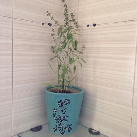 ניו דלהי Parkash Bed And Breakfast מראה חיצוני תמונה
